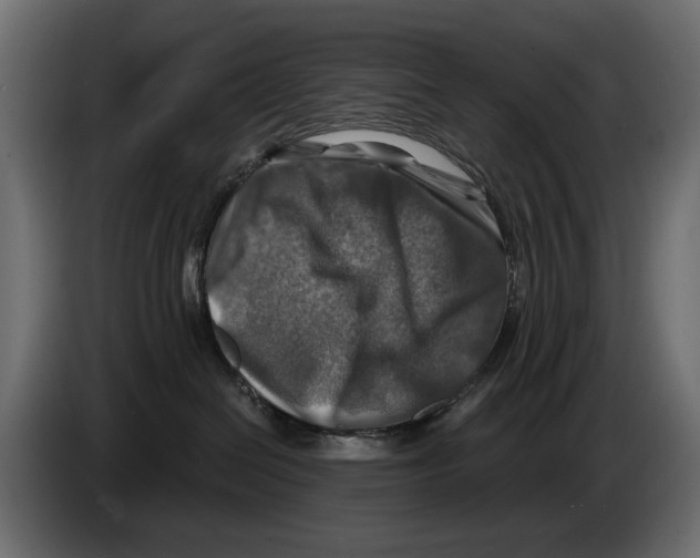 X0000082960286200703020219