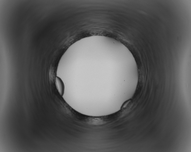 X0000082960287200703020219