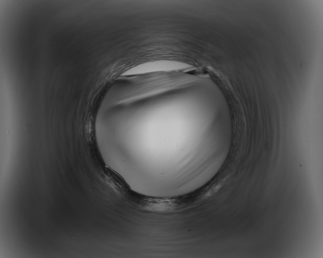 X0000082960288200703020219