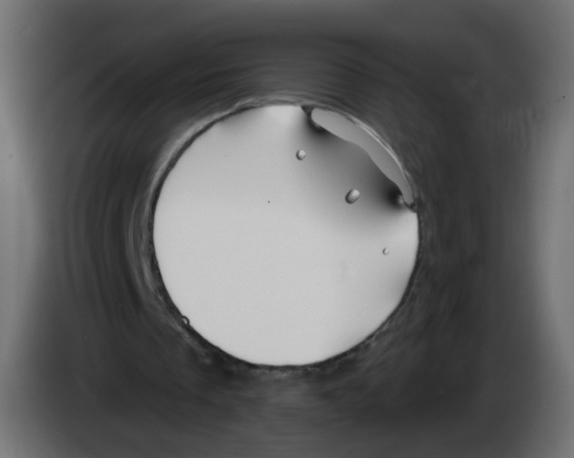 X0000082960289200703020218