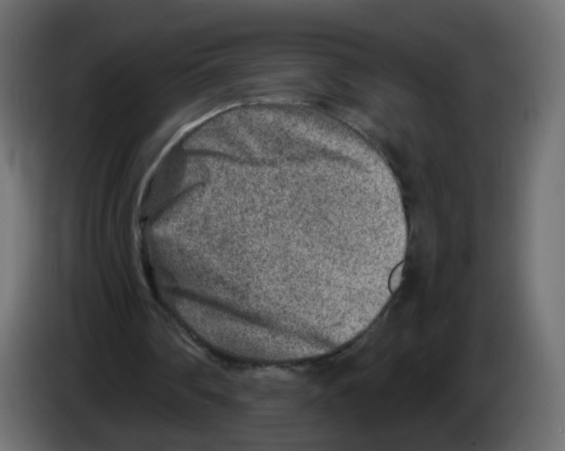 X0000082960290200703020218