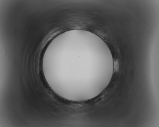 X0000082960291200703020218