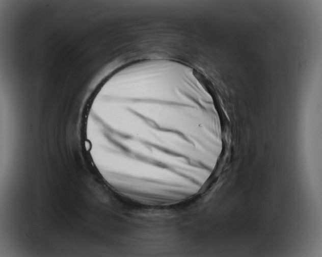 X0000082960292200703020218