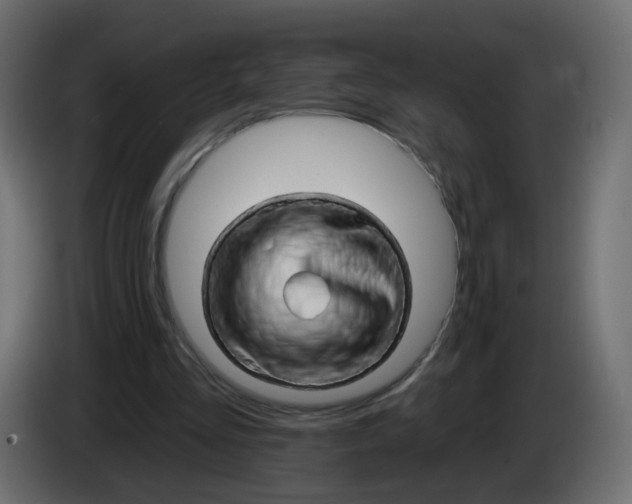 X0000082960293200703020218