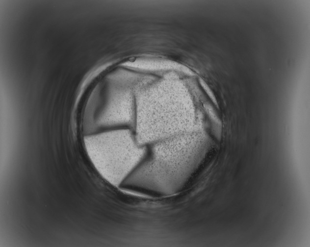 X0000082960294200703020218