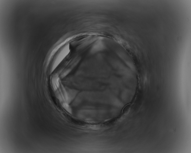 X0000082960295200703020218