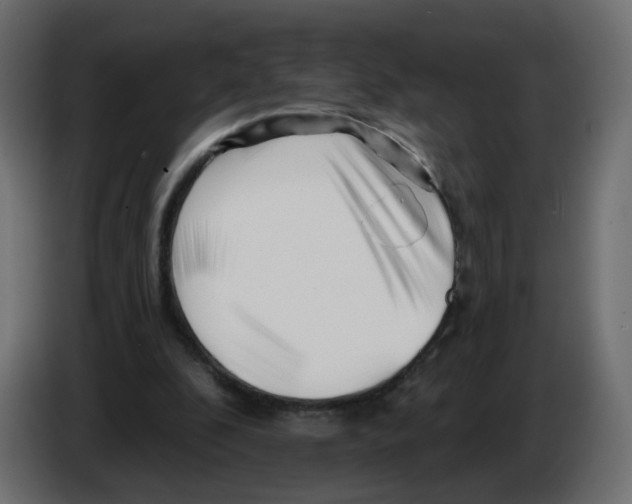 X0000082960296200703020218