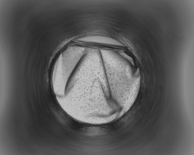 X0000082960298200703020218