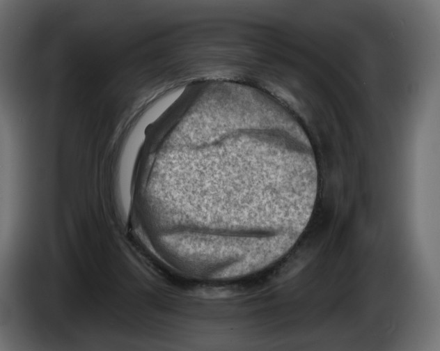 X0000082960299200703020218