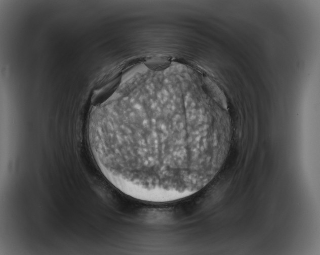 X0000082960303200703020218