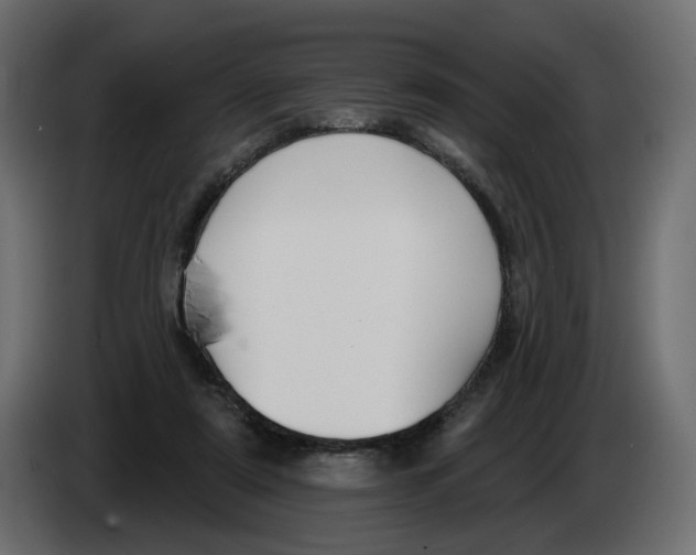 X0000082960307200703020218