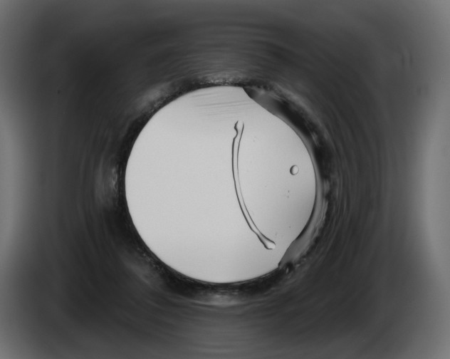 X0000082960308200703020218