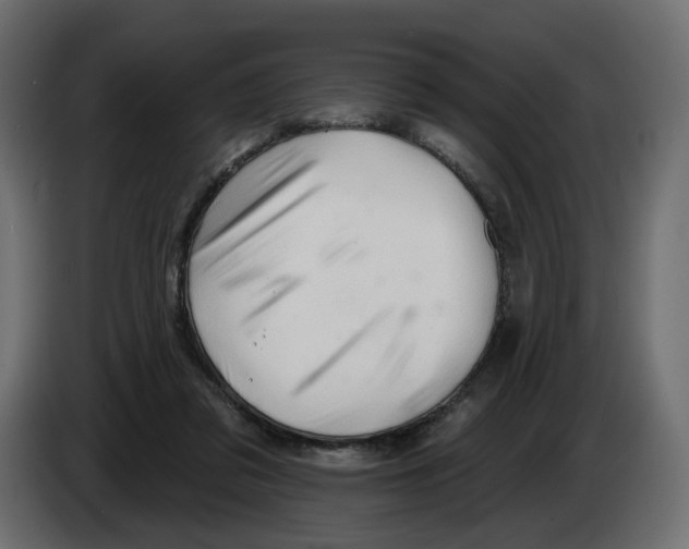 X0000082960309200703020218