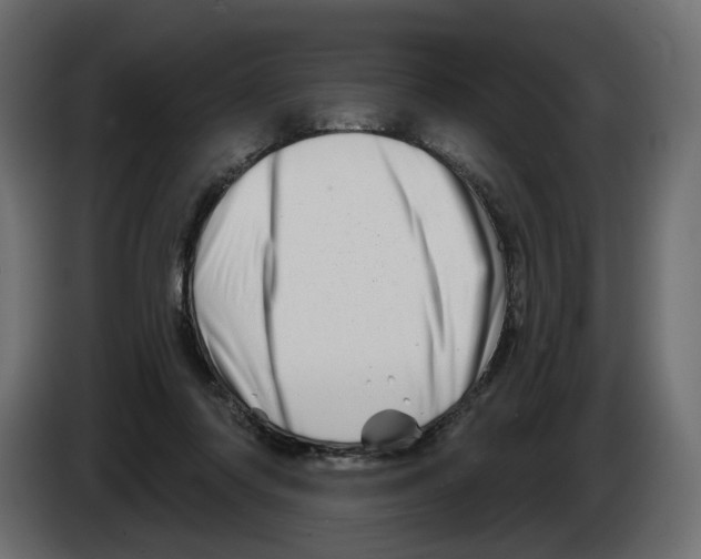 X0000082960310200703020218