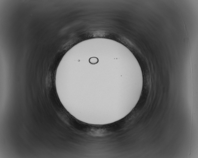 X0000082960311200703020218