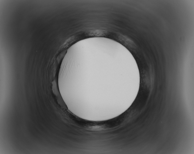 X0000082960312200703020218