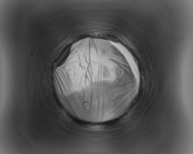 X0000082960313200703020218