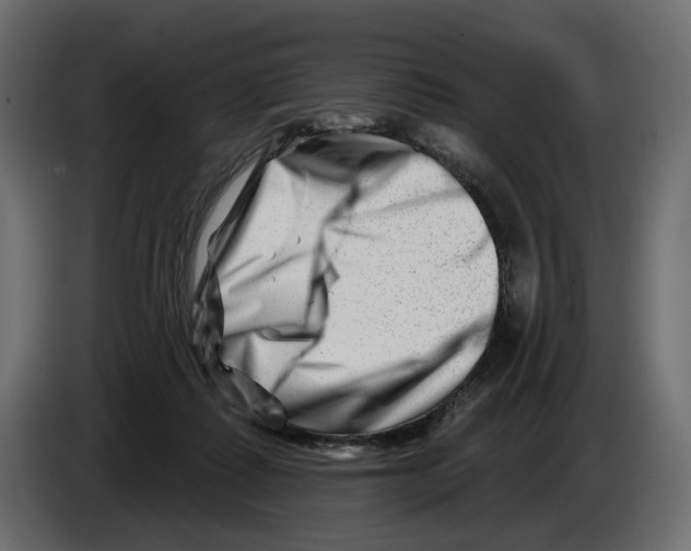 X0000082960315200703020218