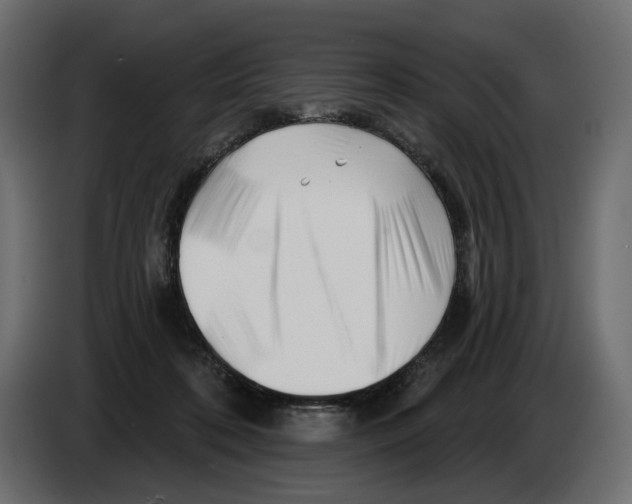 X0000082960316200703020218