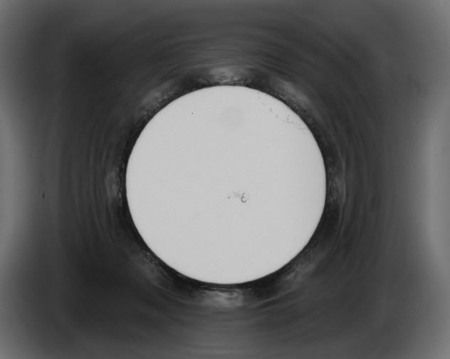 X0000082960317200703020218