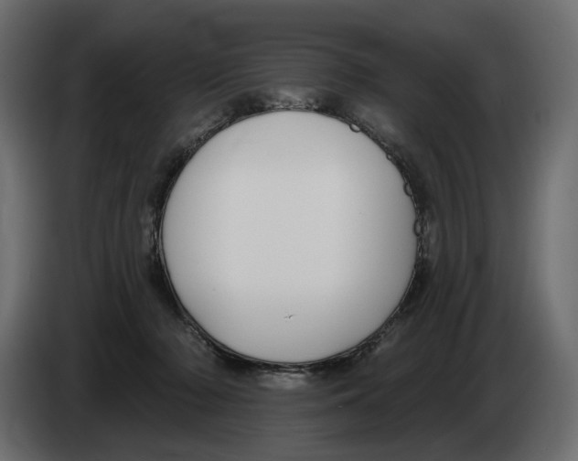 X0000082960318200703020218