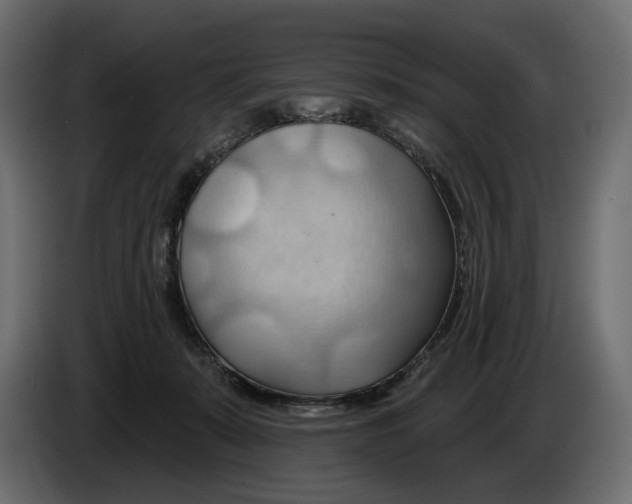 X0000082960319200703020218