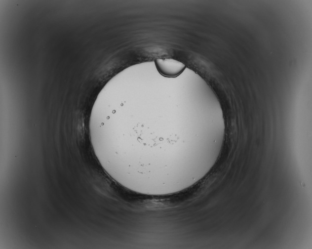 X0000082960320200703020218