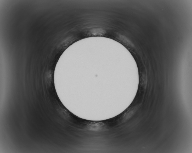 X0000082960321200703020218