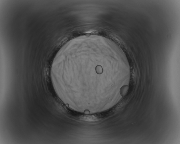 X0000082960322200703020218