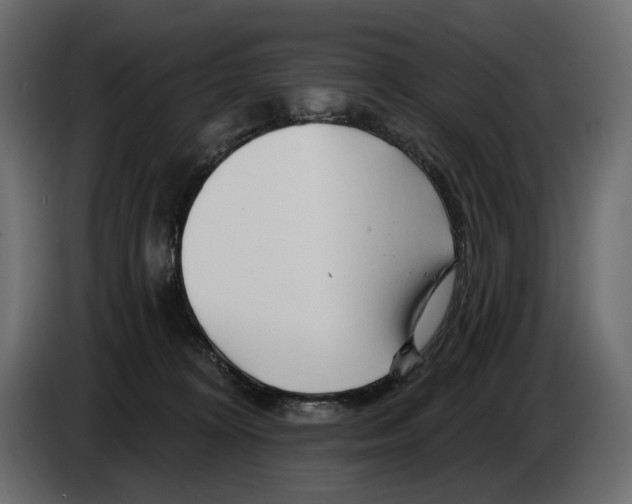 X0000082960324200703020218