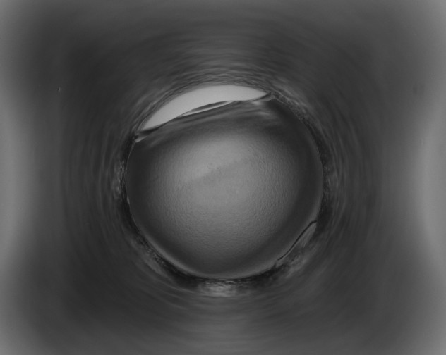 X0000082960325200703020218