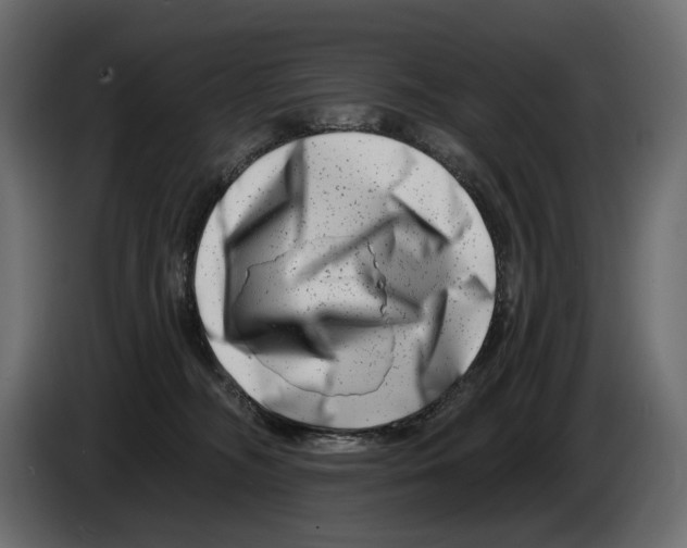 X0000082960326200703020218