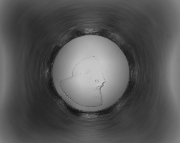 X0000082960327200703020218