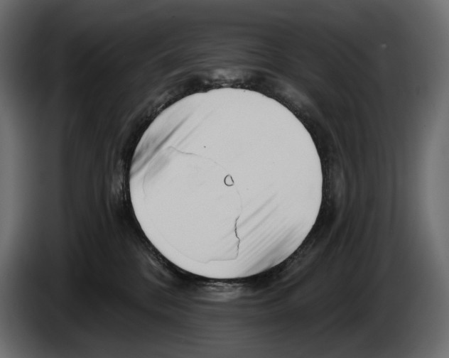 X0000082960328200703020218