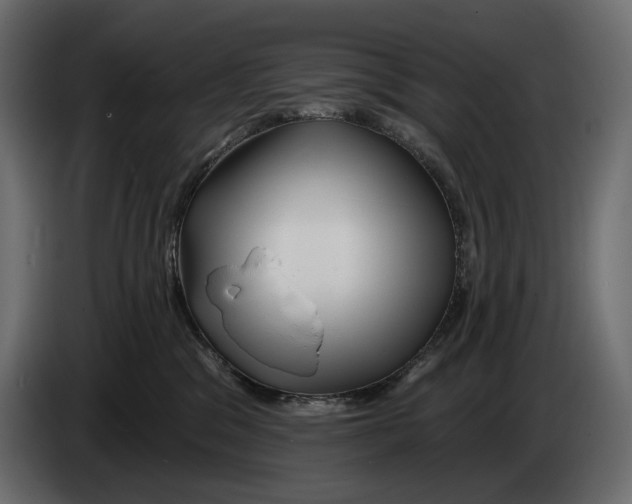 X0000082960329200703020218