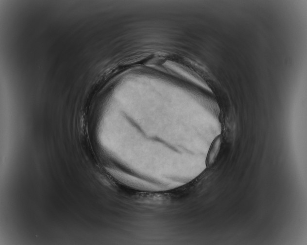 X0000082960330200703020218