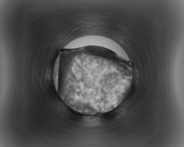 X0000082960331200703020218