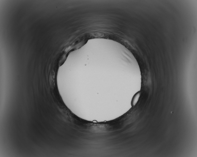 X0000082960332200703020218