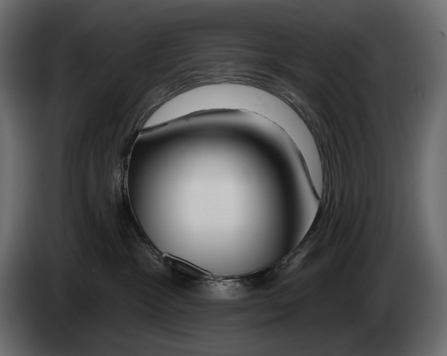 X0000082960333200703020218