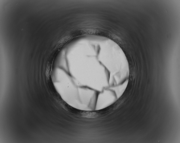 X0000082960334200703020218