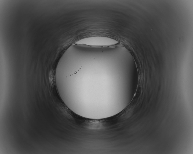 X0000082960335200703020218