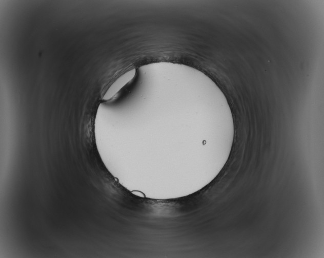 X0000082960336200703020218