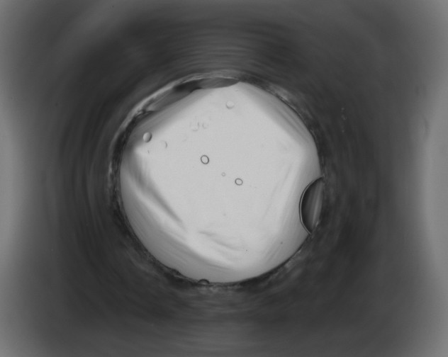 X0000082960338200703020217