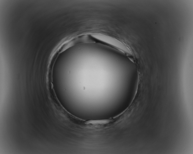 X0000082960340200703020217