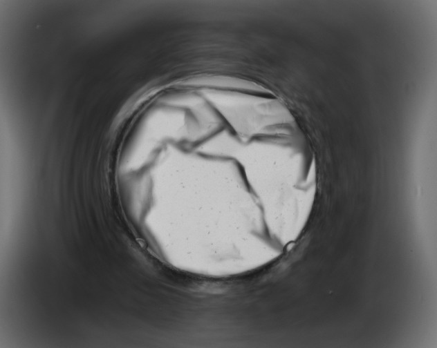 X0000082960341200703020217