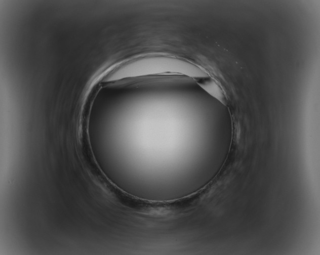 X0000082960344200703020217