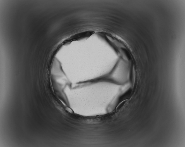 X0000082960345200703020217