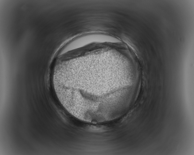 X0000082960346200703020217