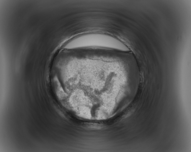 X0000082960347200703020217