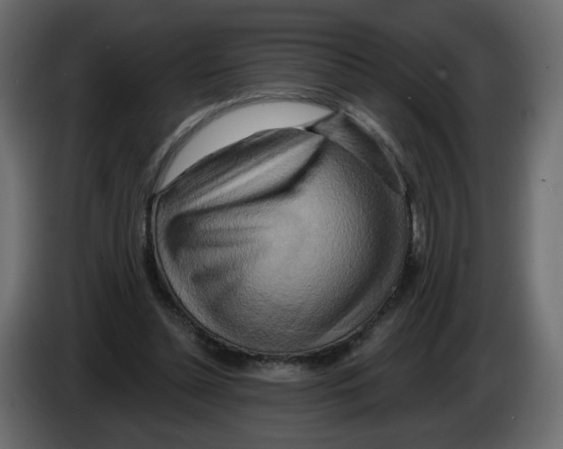 X0000082960348200703020217